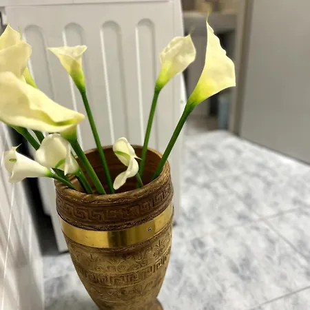 Apartmán Blago Star Center *