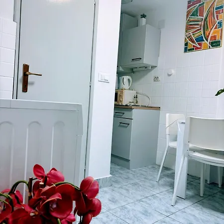 Apartment Blago Star Center *