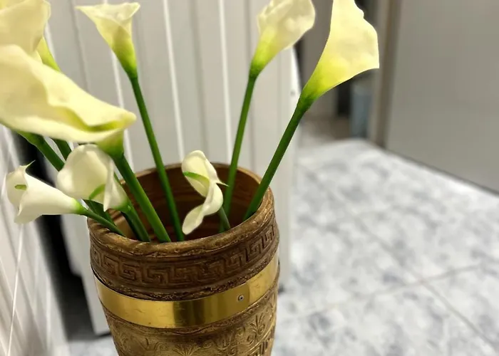 Apartman Blago Star Center *